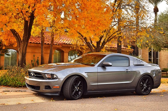 fordmustang8