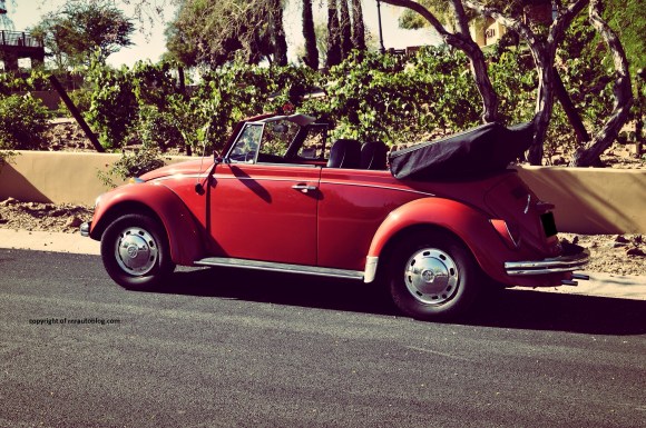 beetle 6